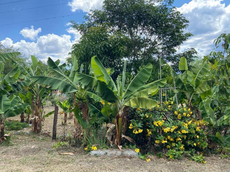 Casa Vacacional Buganvillas Malacatos Buitenkant foto